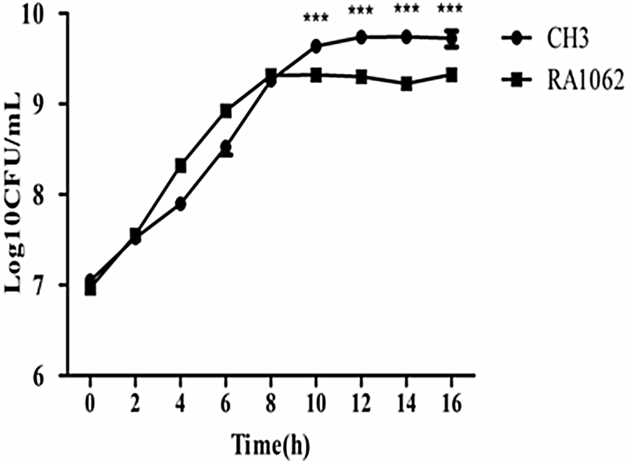 Figure 2