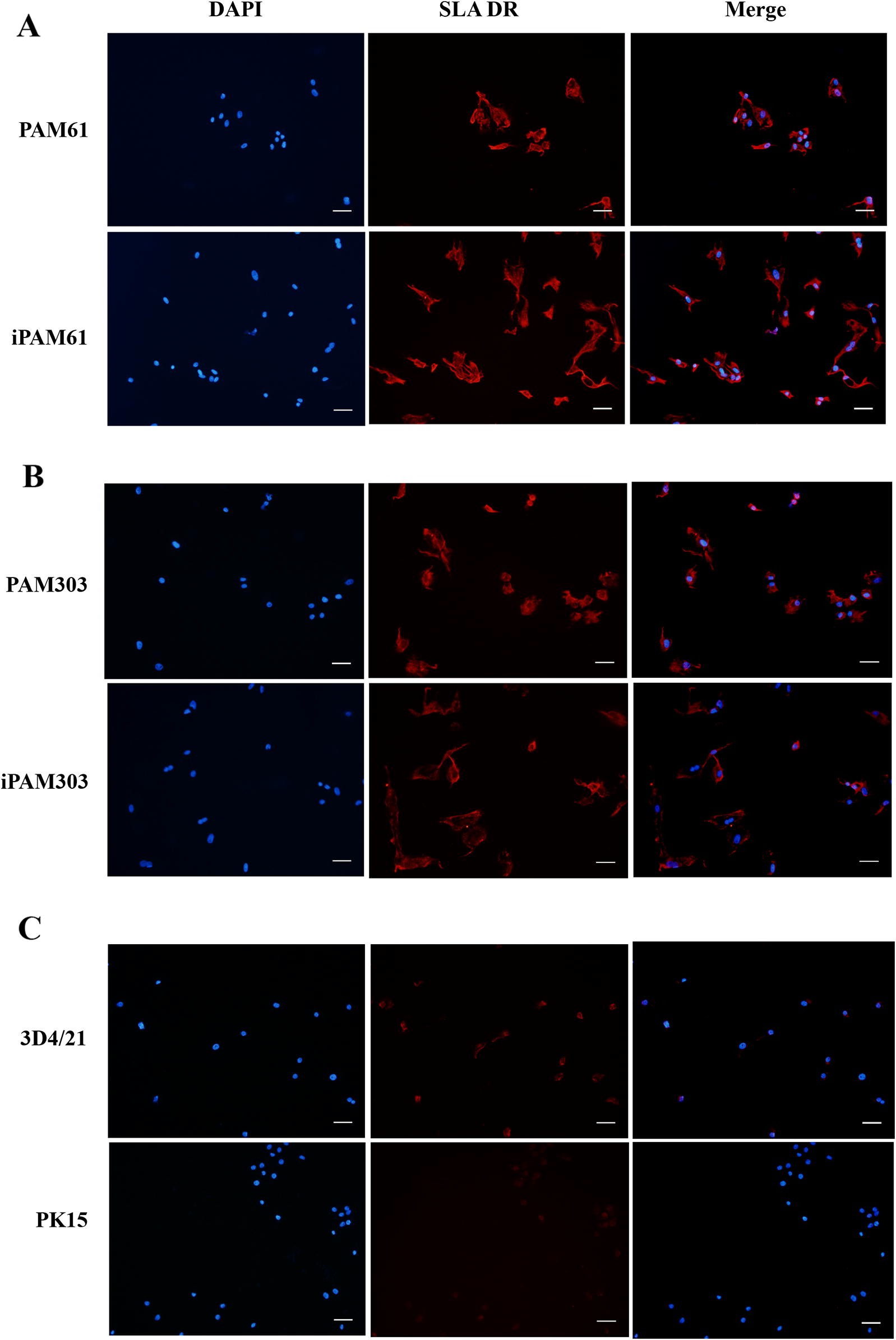 Figure 4