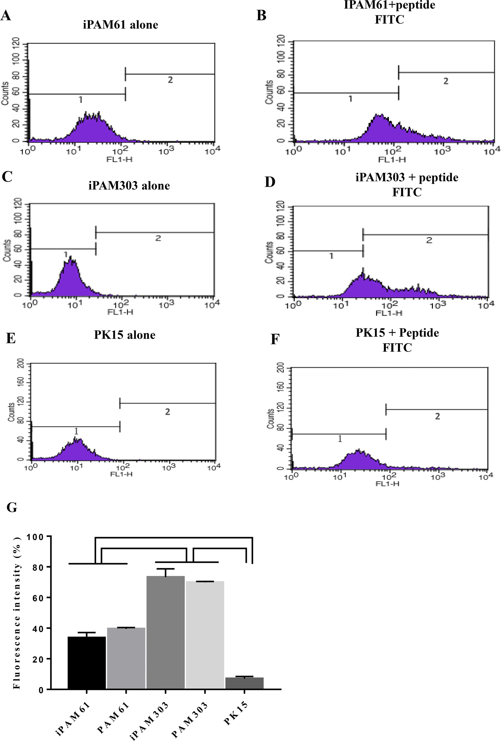 Figure 5