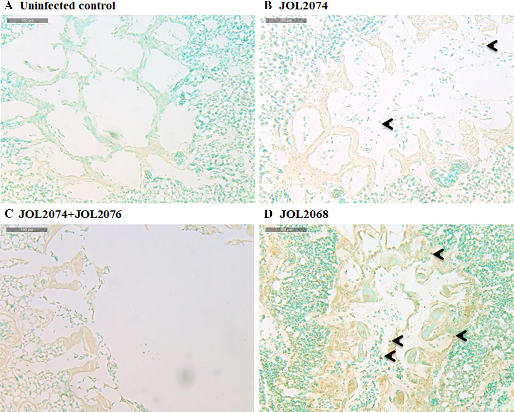 Figure 7