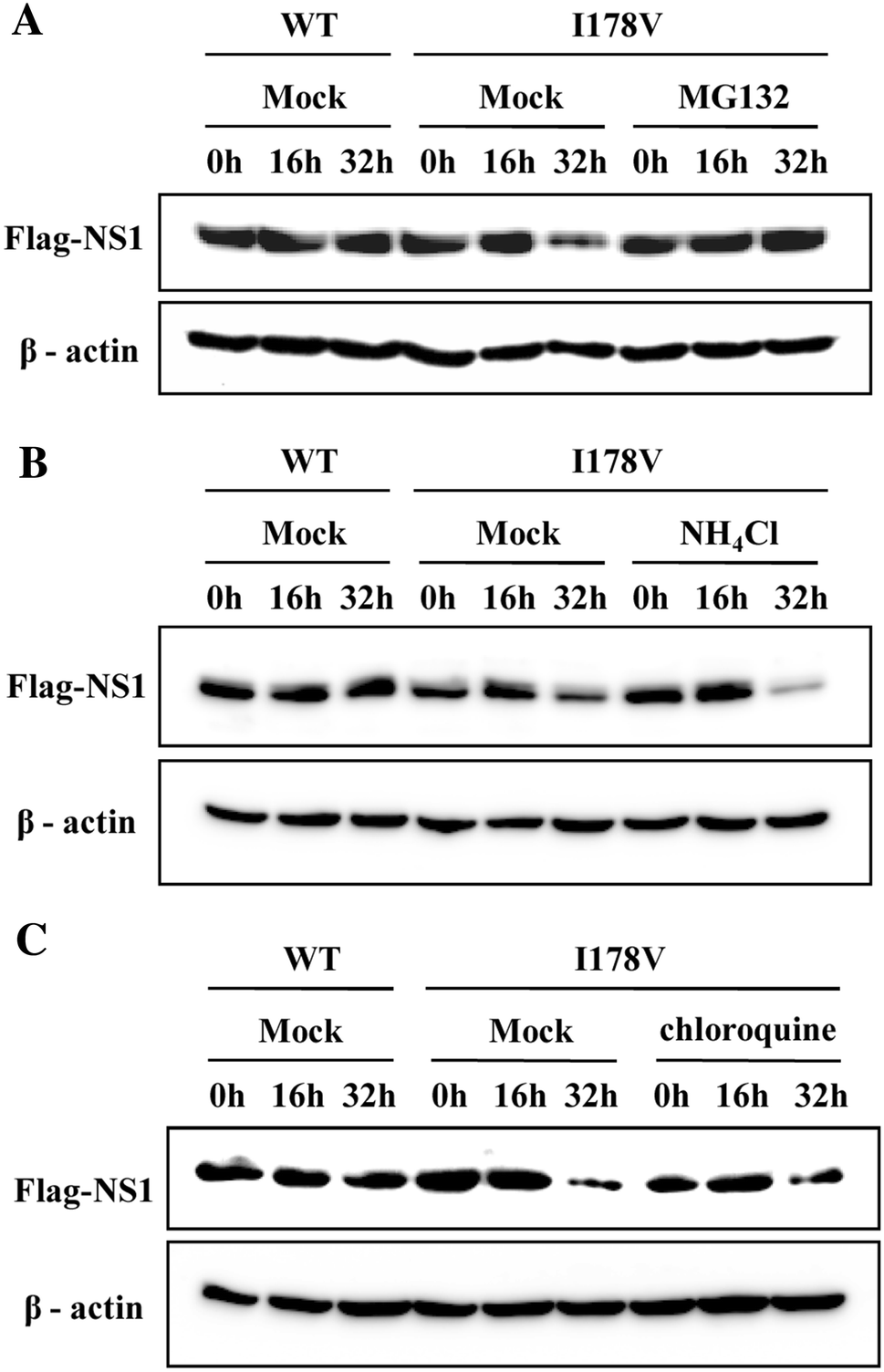 Figure 6