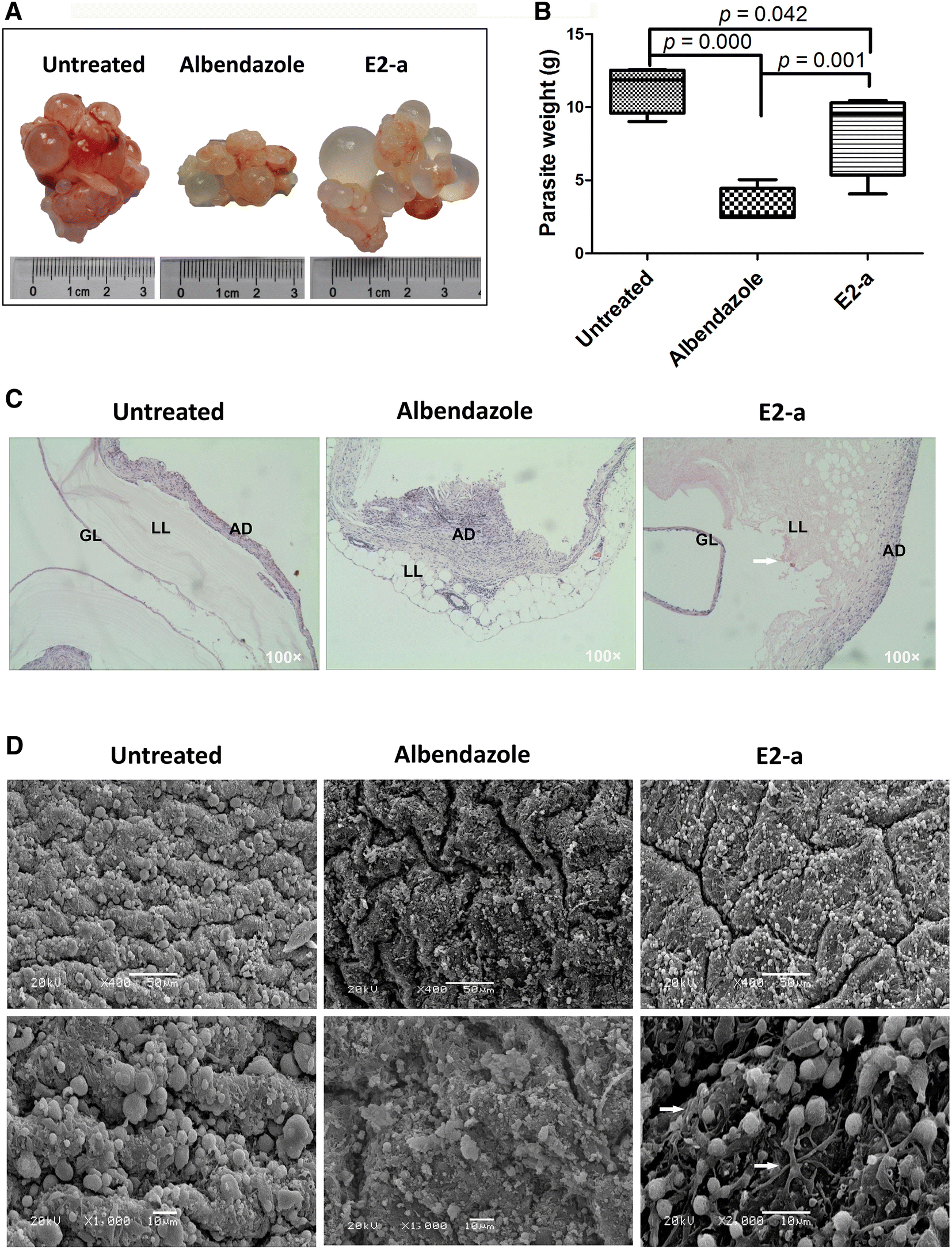 Figure 3