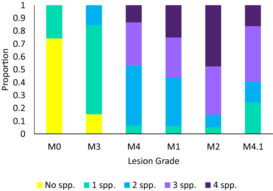 Figure 2