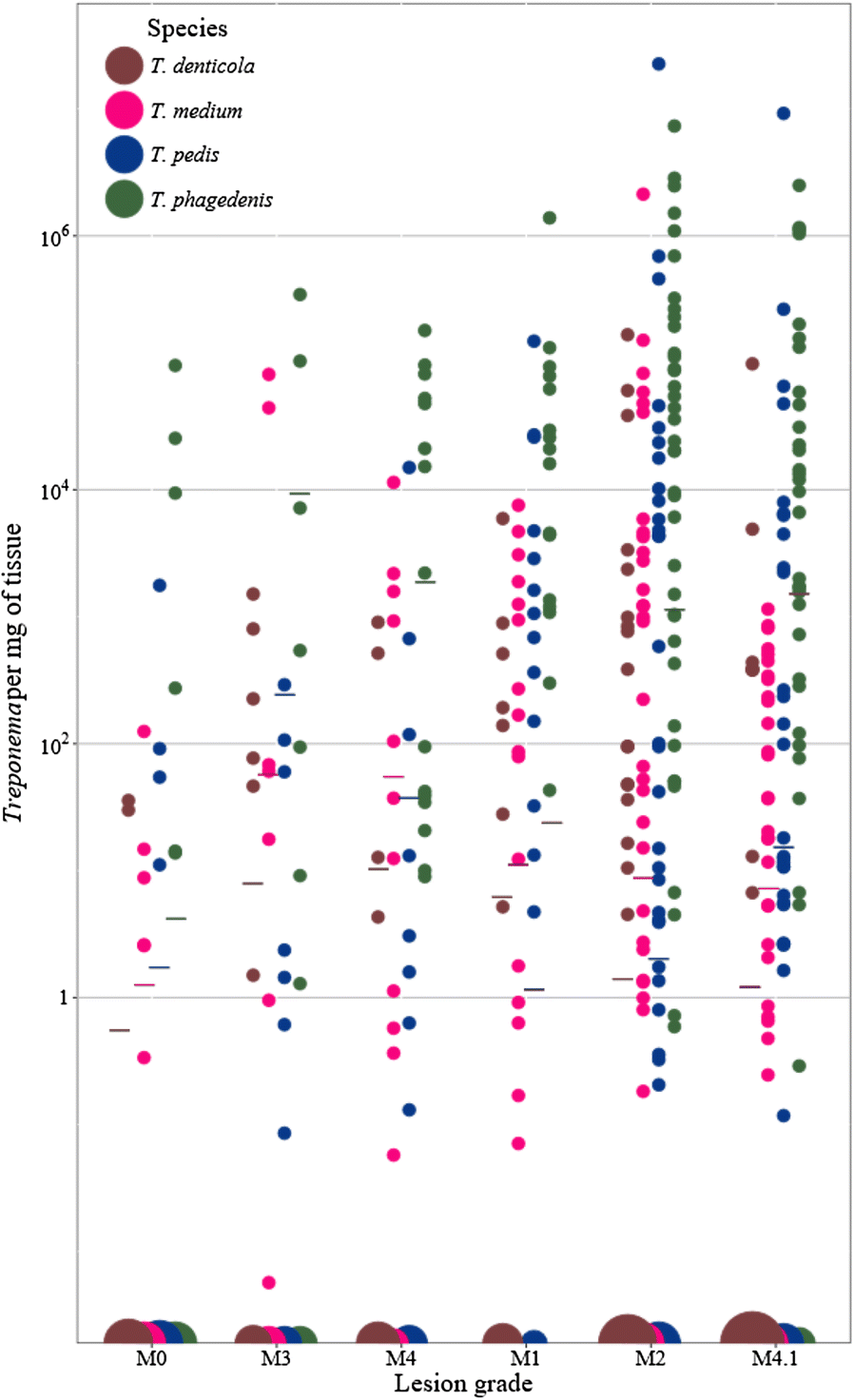 Figure 4