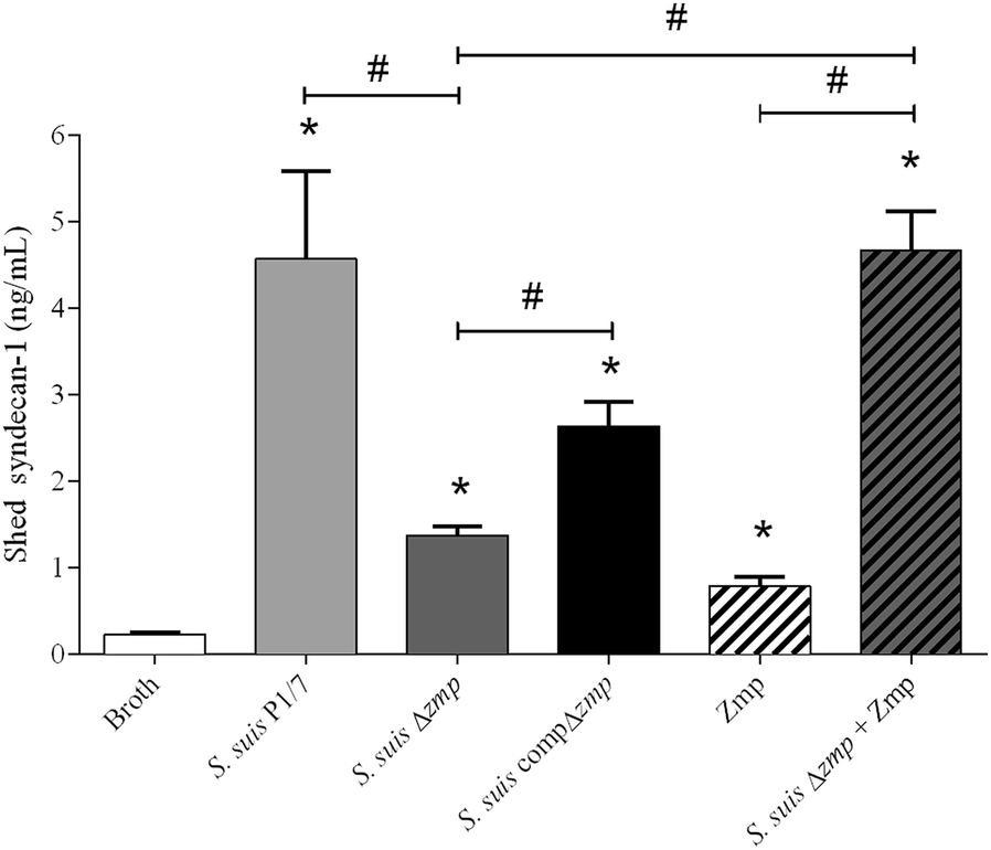 Figure 6