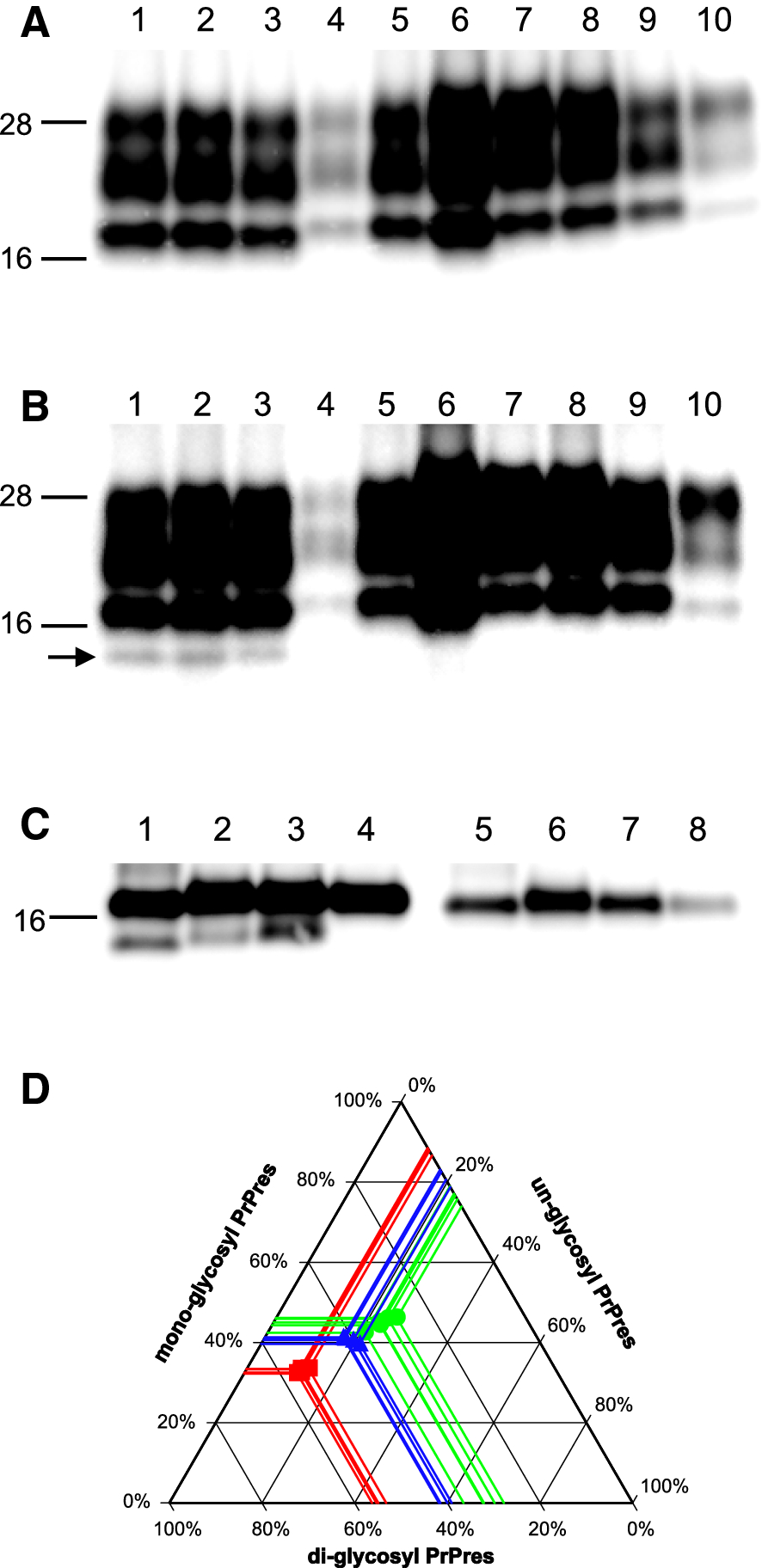 Figure 4