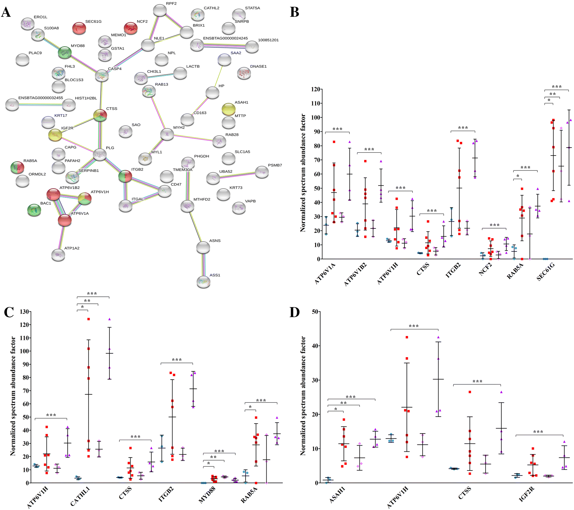 Figure 2