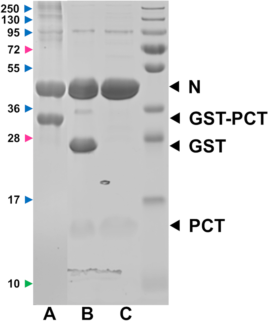 Figure 2