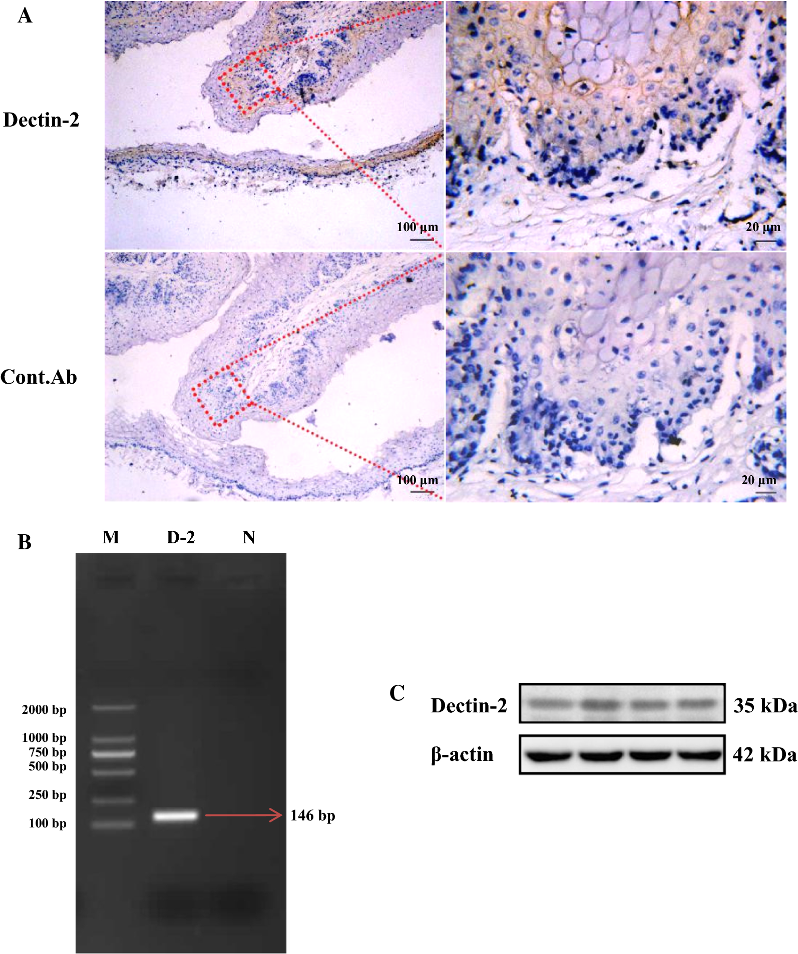 Figure 1