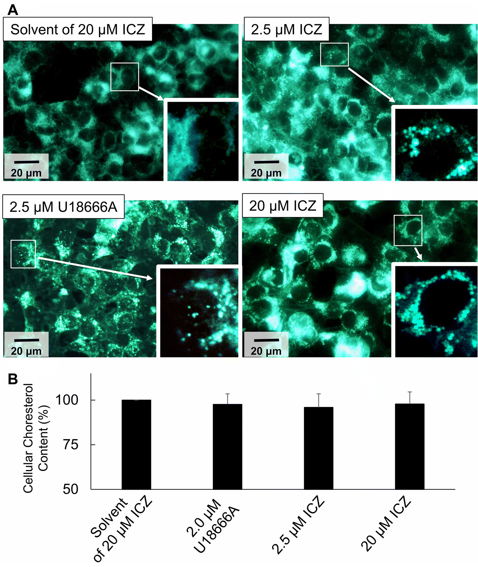 Figure 3