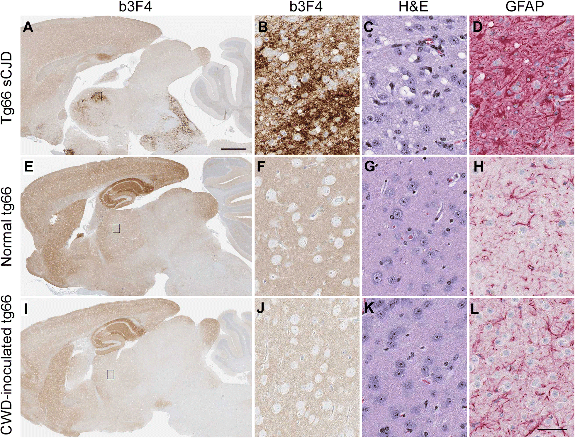 Figure 4