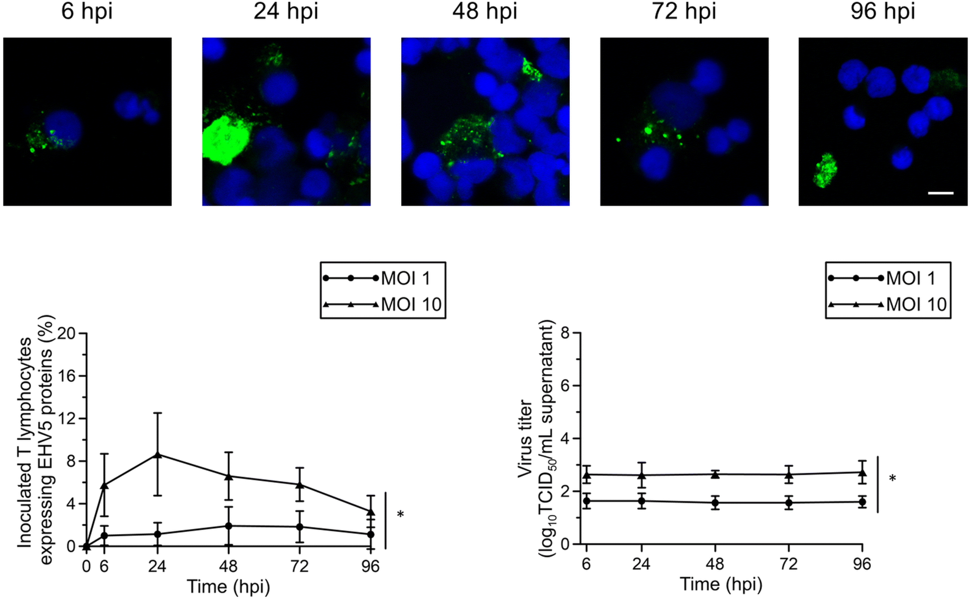 Figure 2