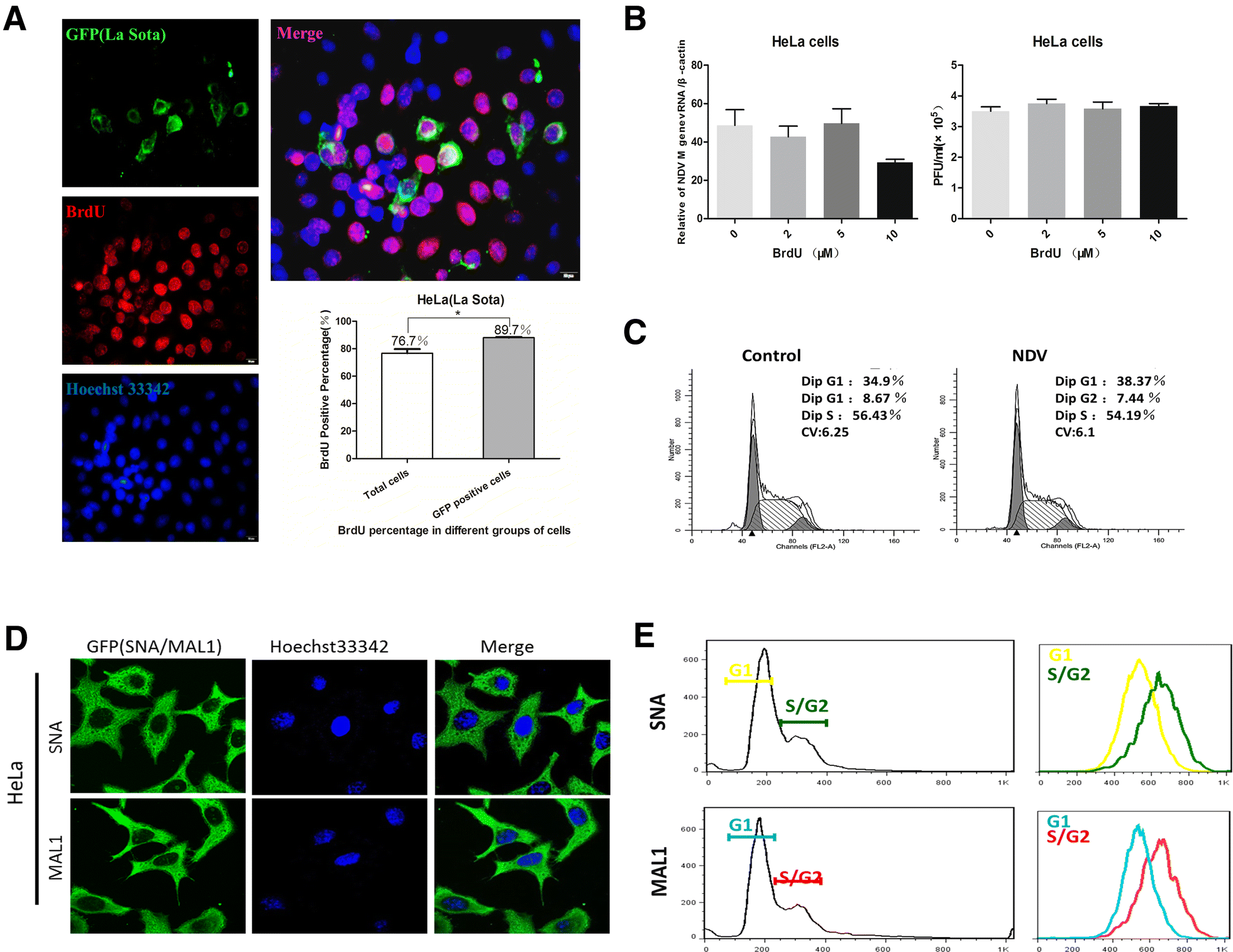 Figure 1