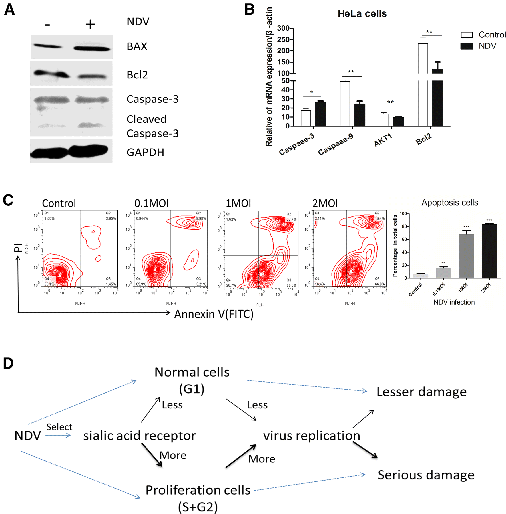 Figure 6