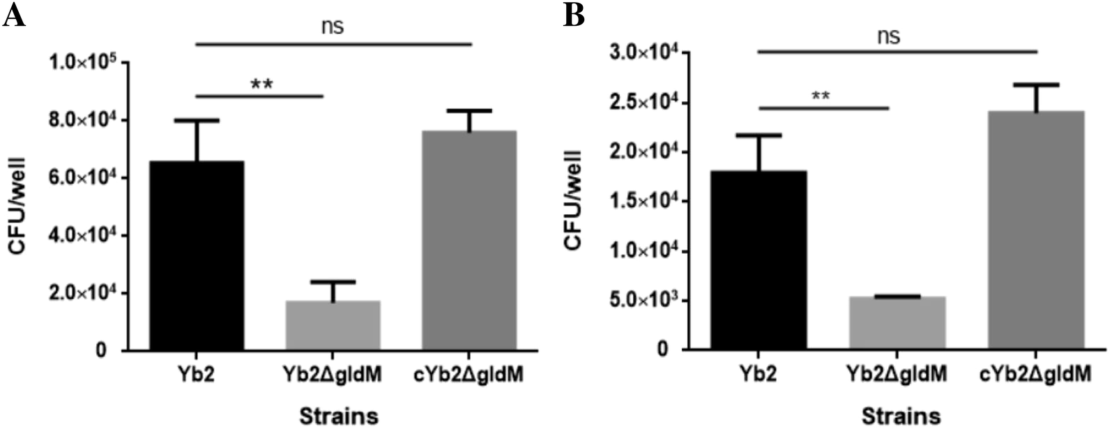 Figure 5