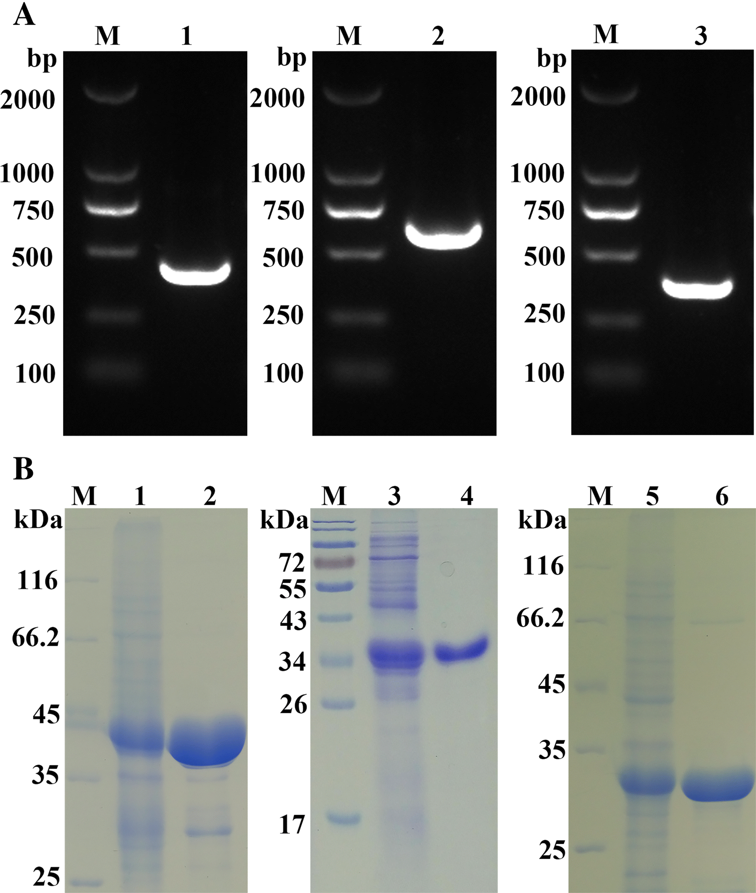 Figure 3