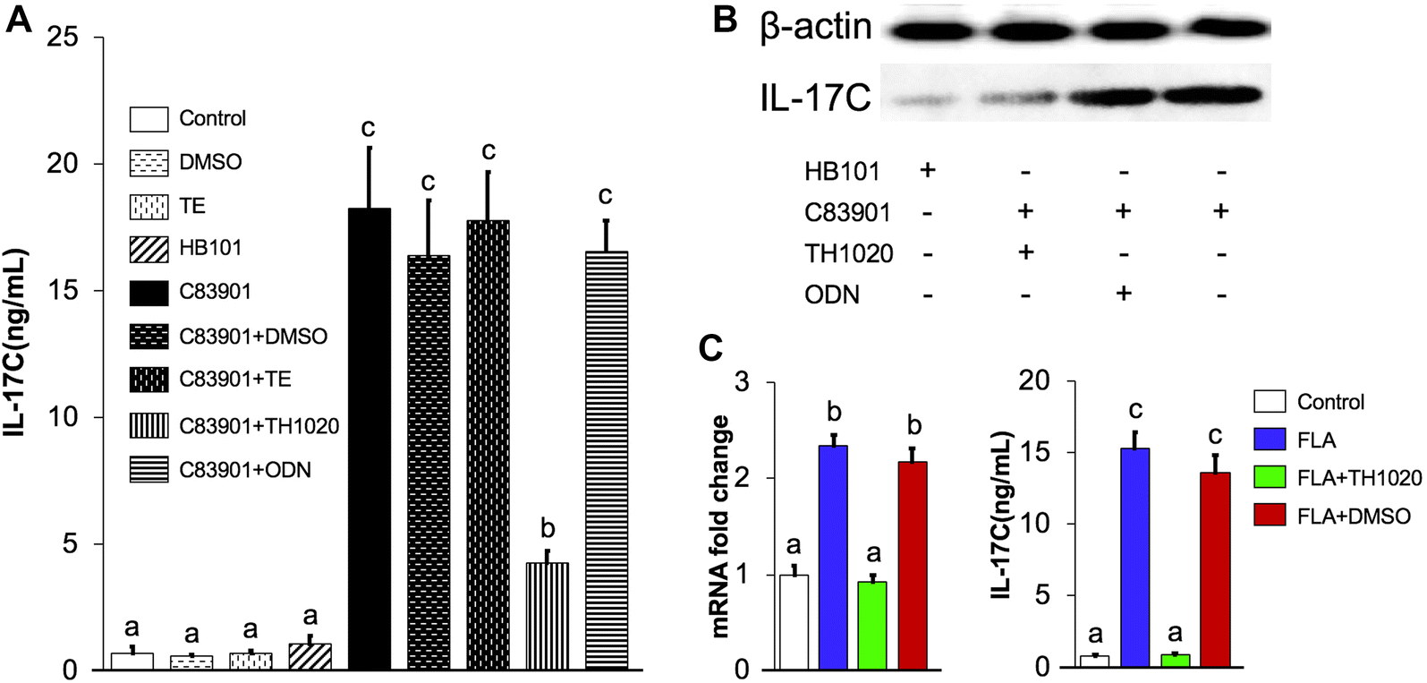 Figure 3