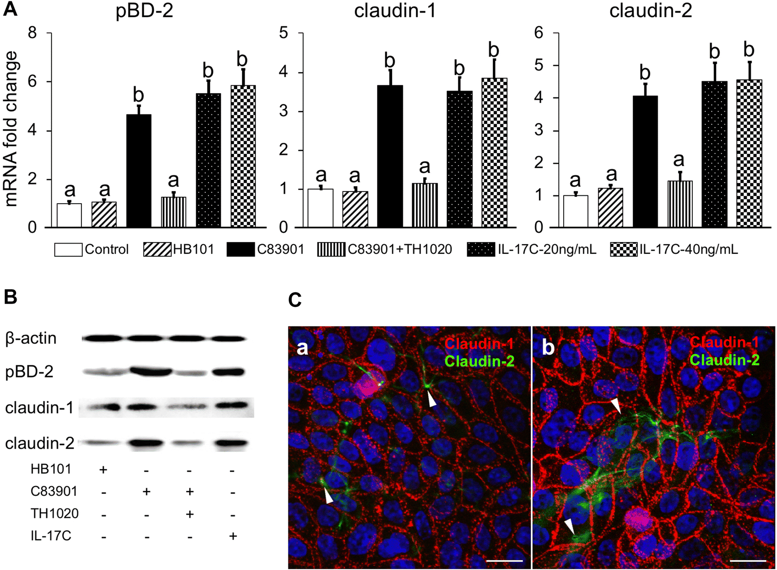 Figure 4