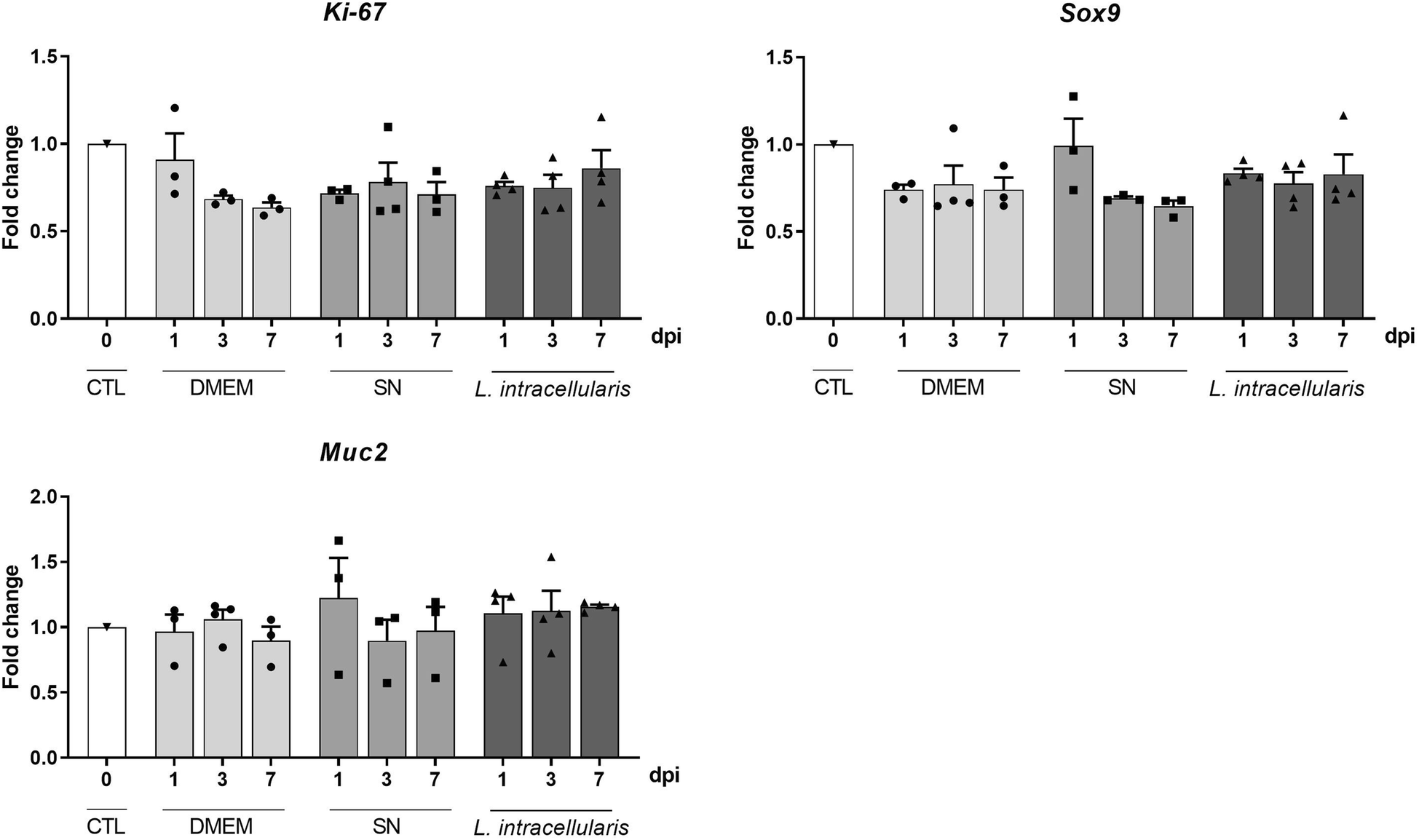 Evaluation of mouse enteroids as a model for Lawsonia intracellularis  infection | Veterinary Research | Full Text