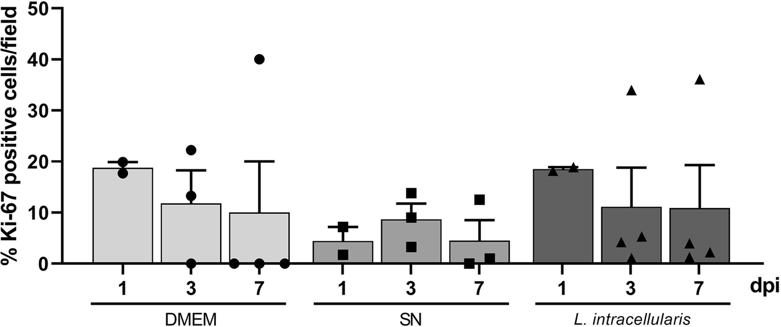 Figure 5