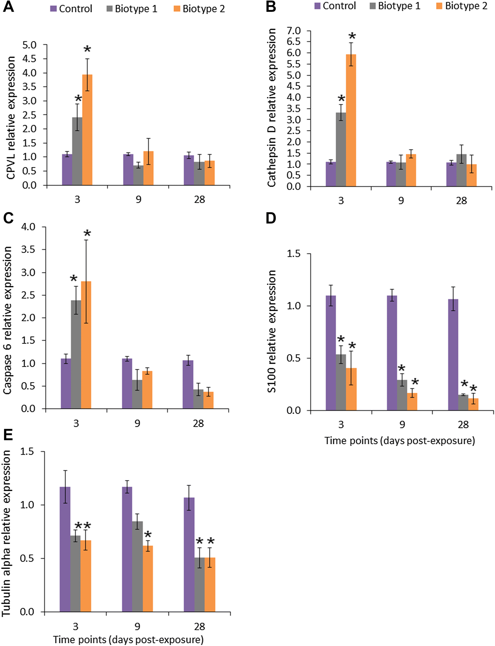 Figure 4