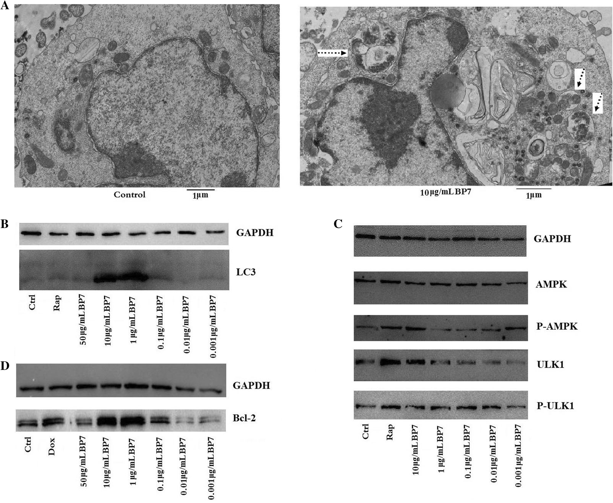 Figure 5