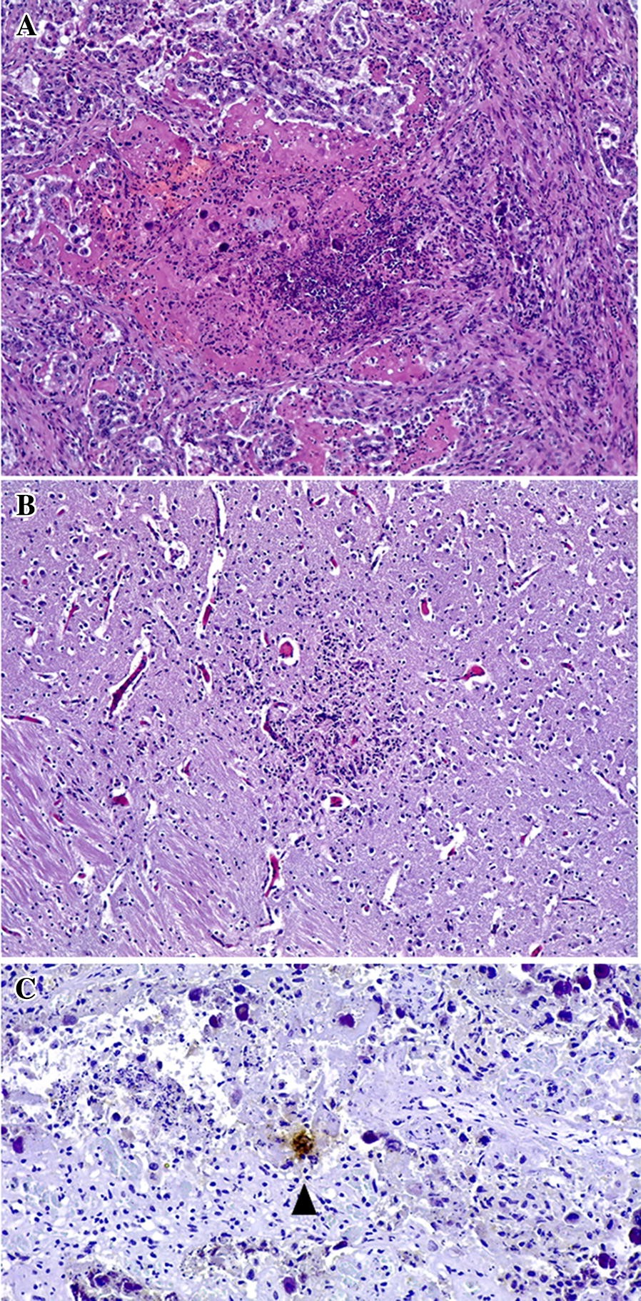 Figure 4