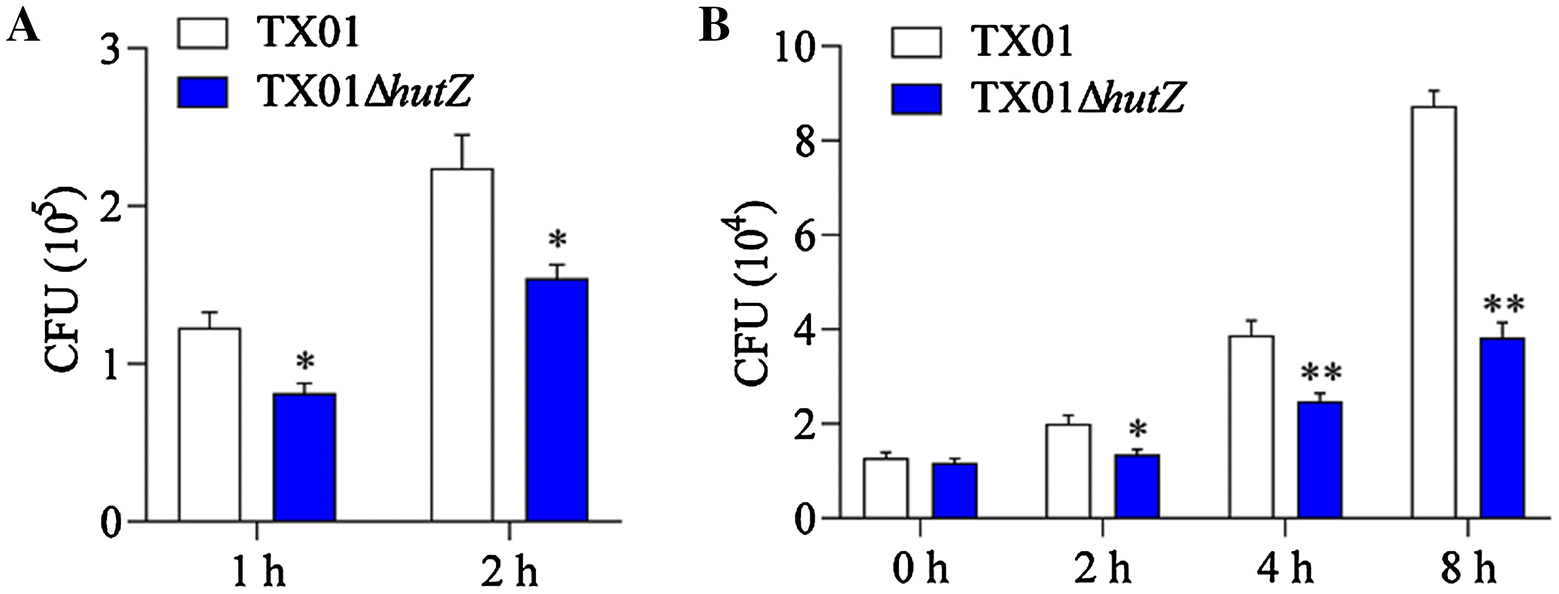 Figure 9