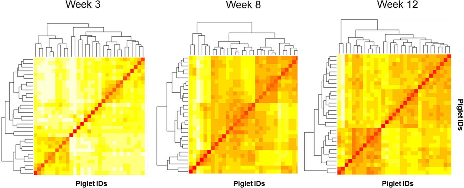 Figure 5