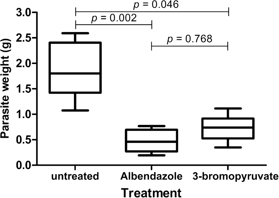 Figure 5