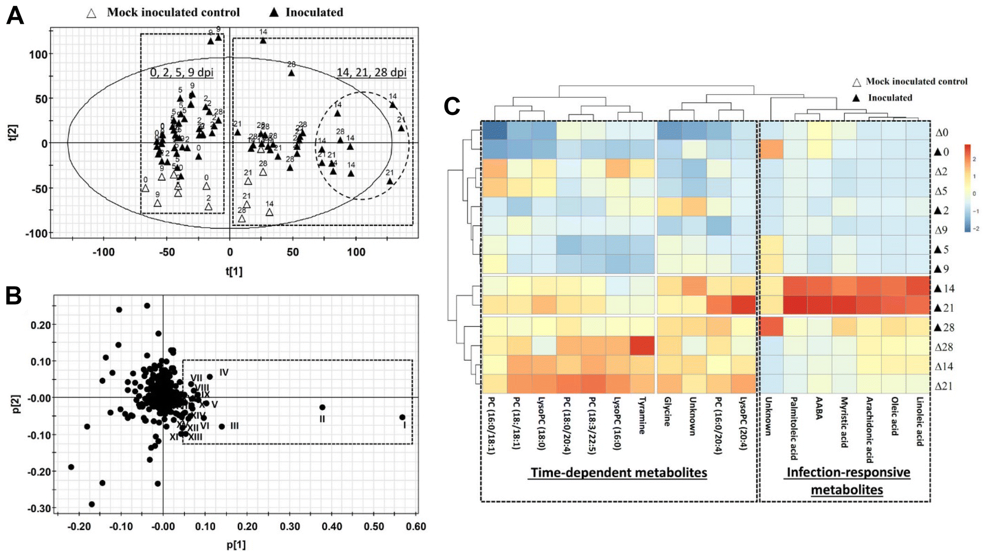 Figure 2