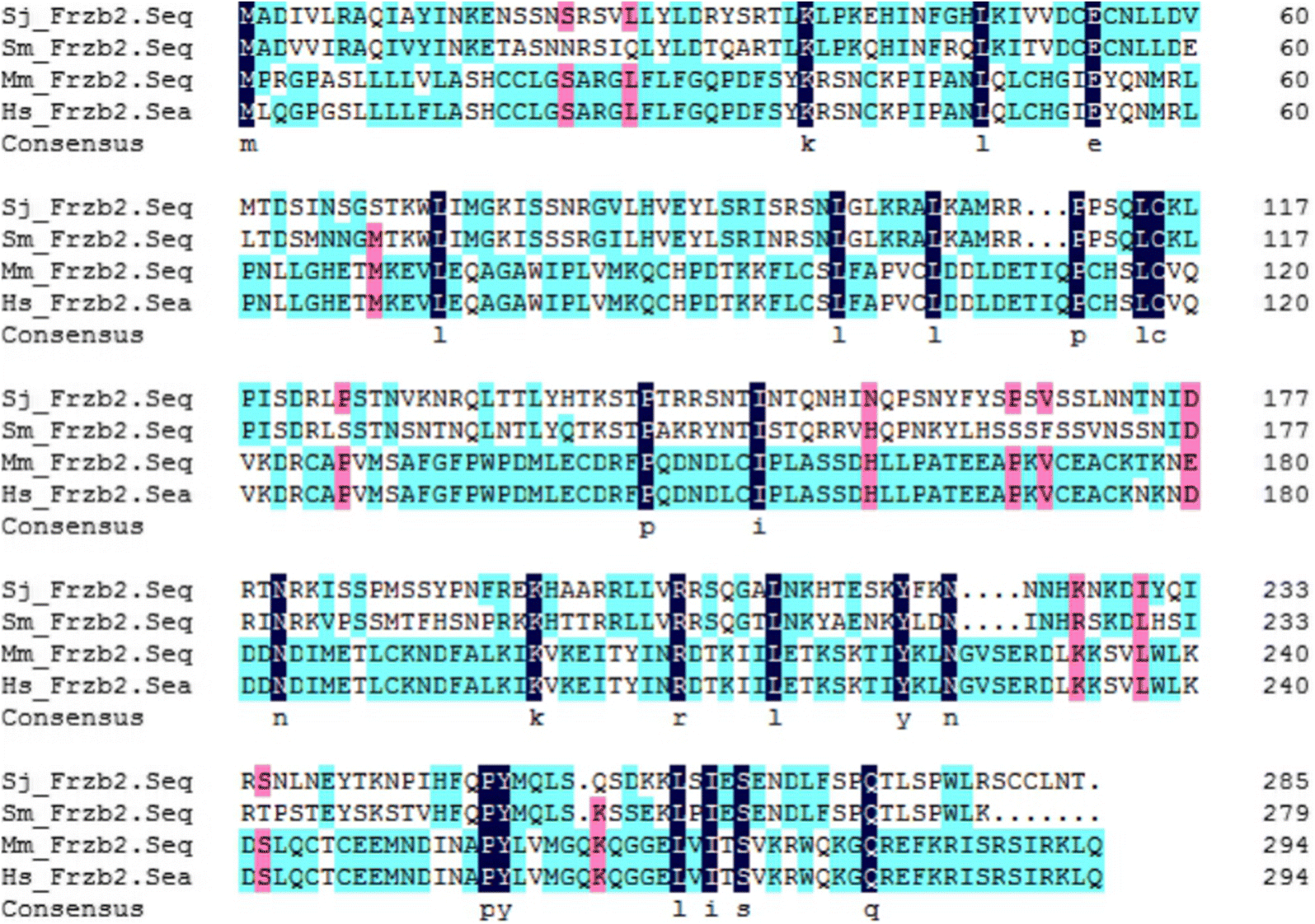 Figure 1