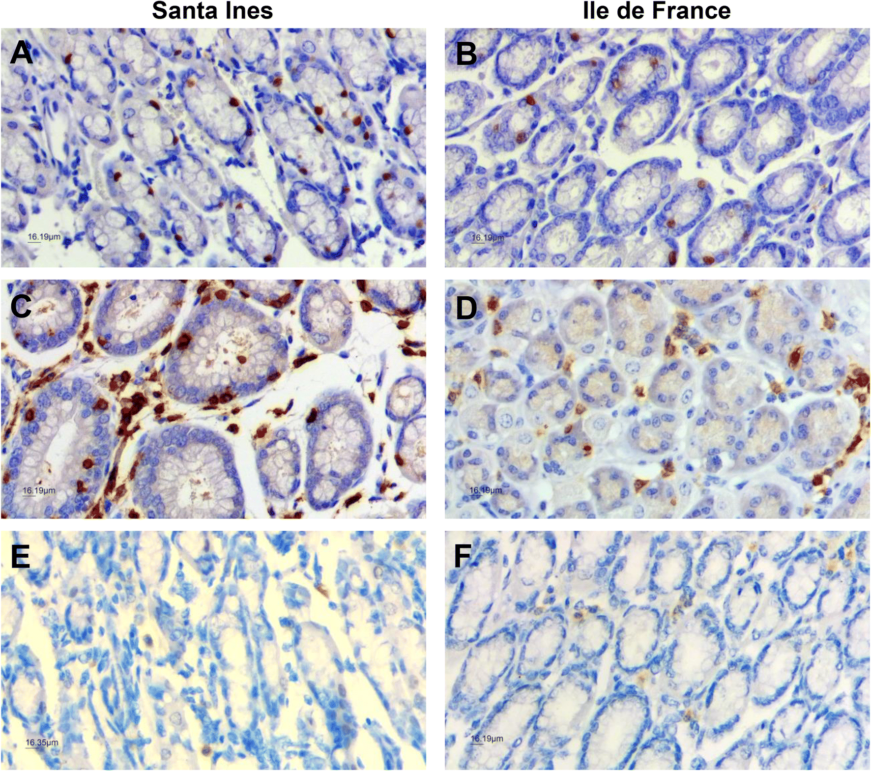 Figure 6