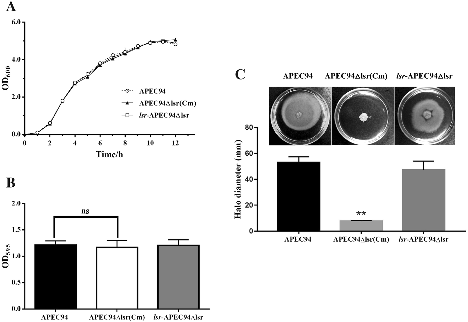 Figure 2