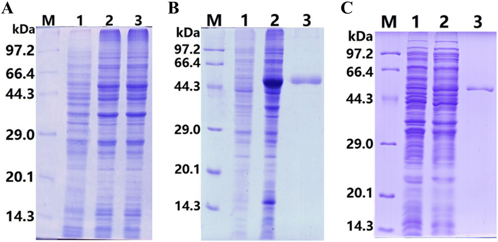 Figure 6