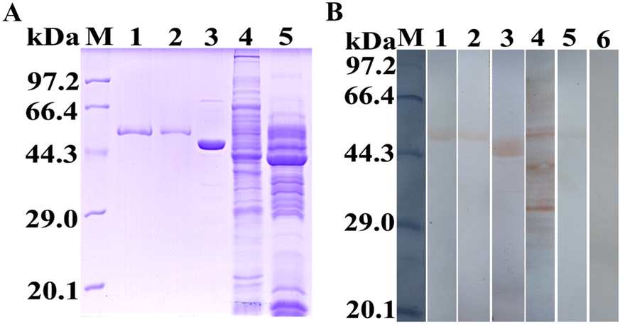 Figure 9