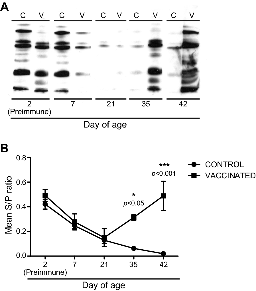 Figure 3