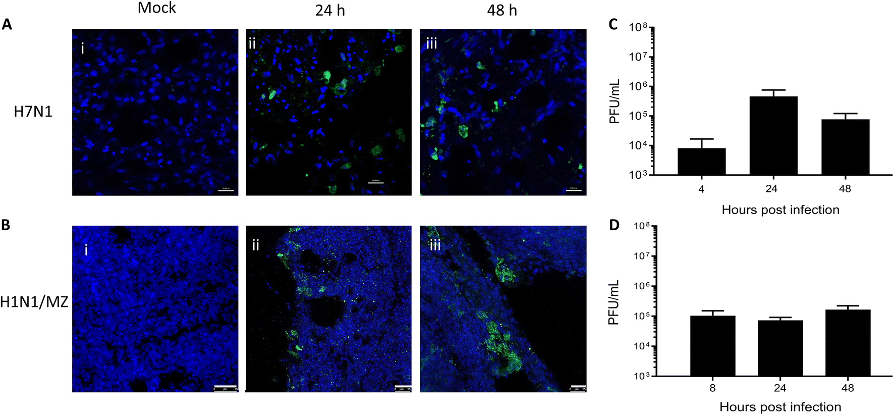 Figure 7