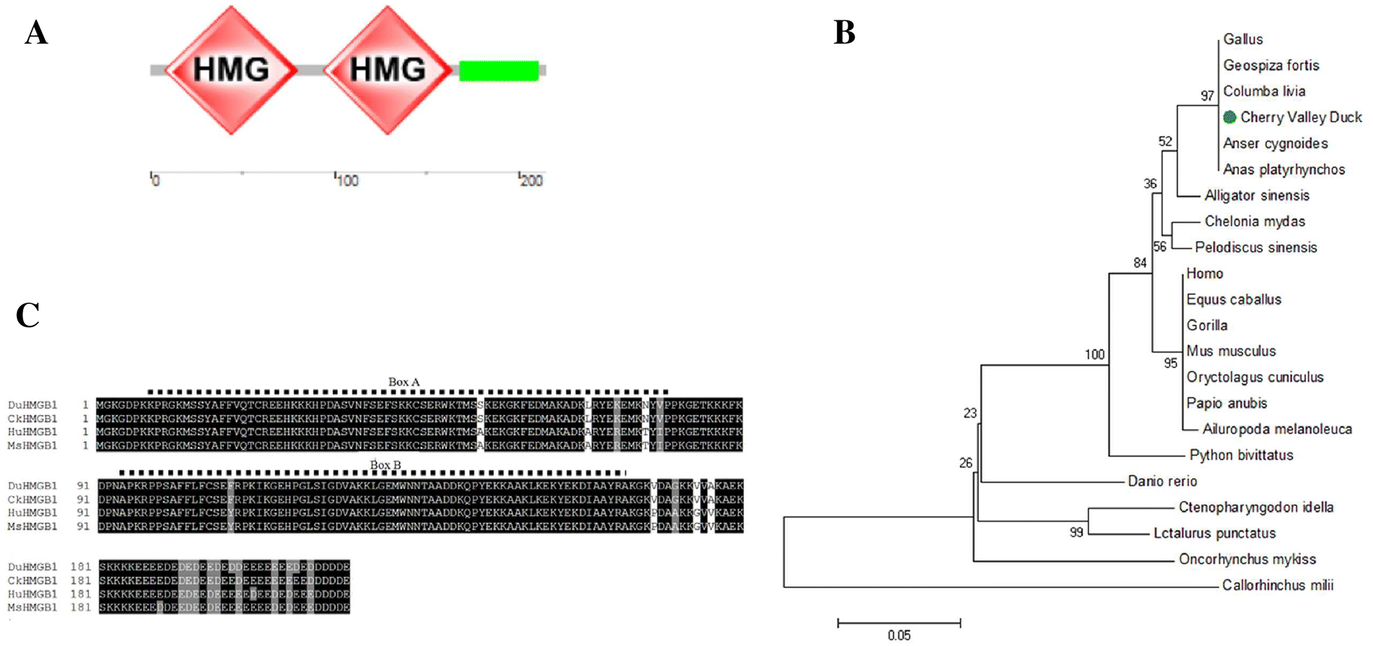 Figure 1