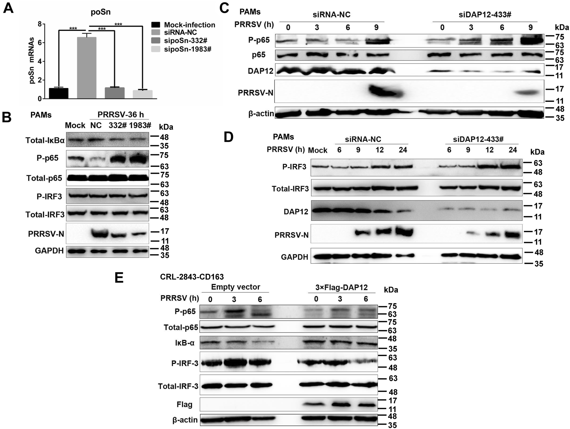 Figure 6