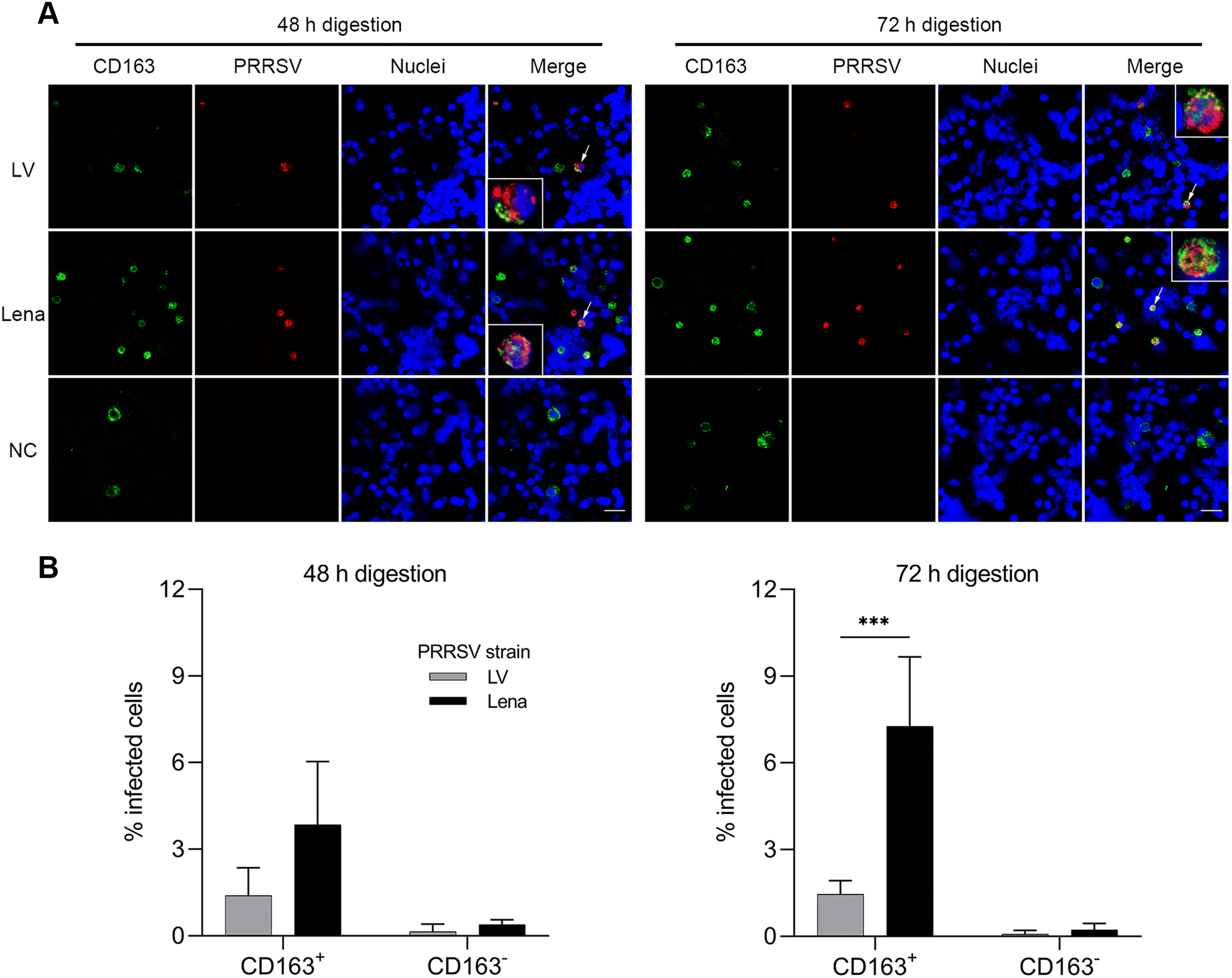 Figure 7