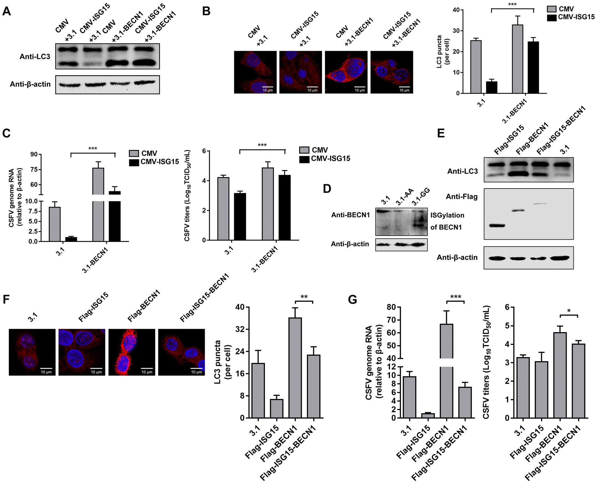 Figure 6