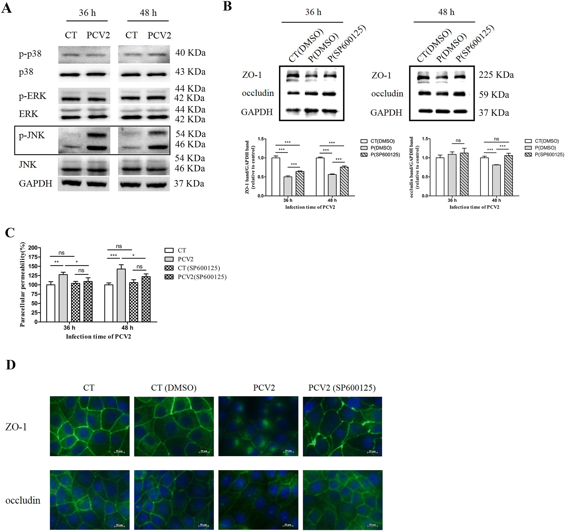 Figure 7