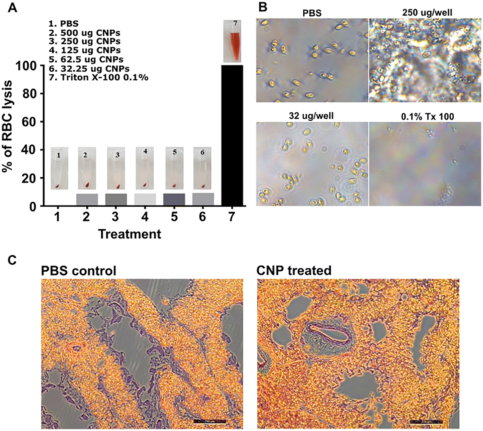 Figure 5