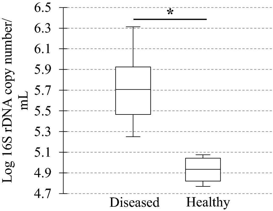 Figure 5