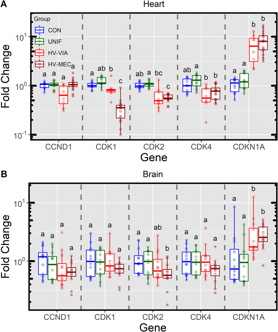 Figure 5