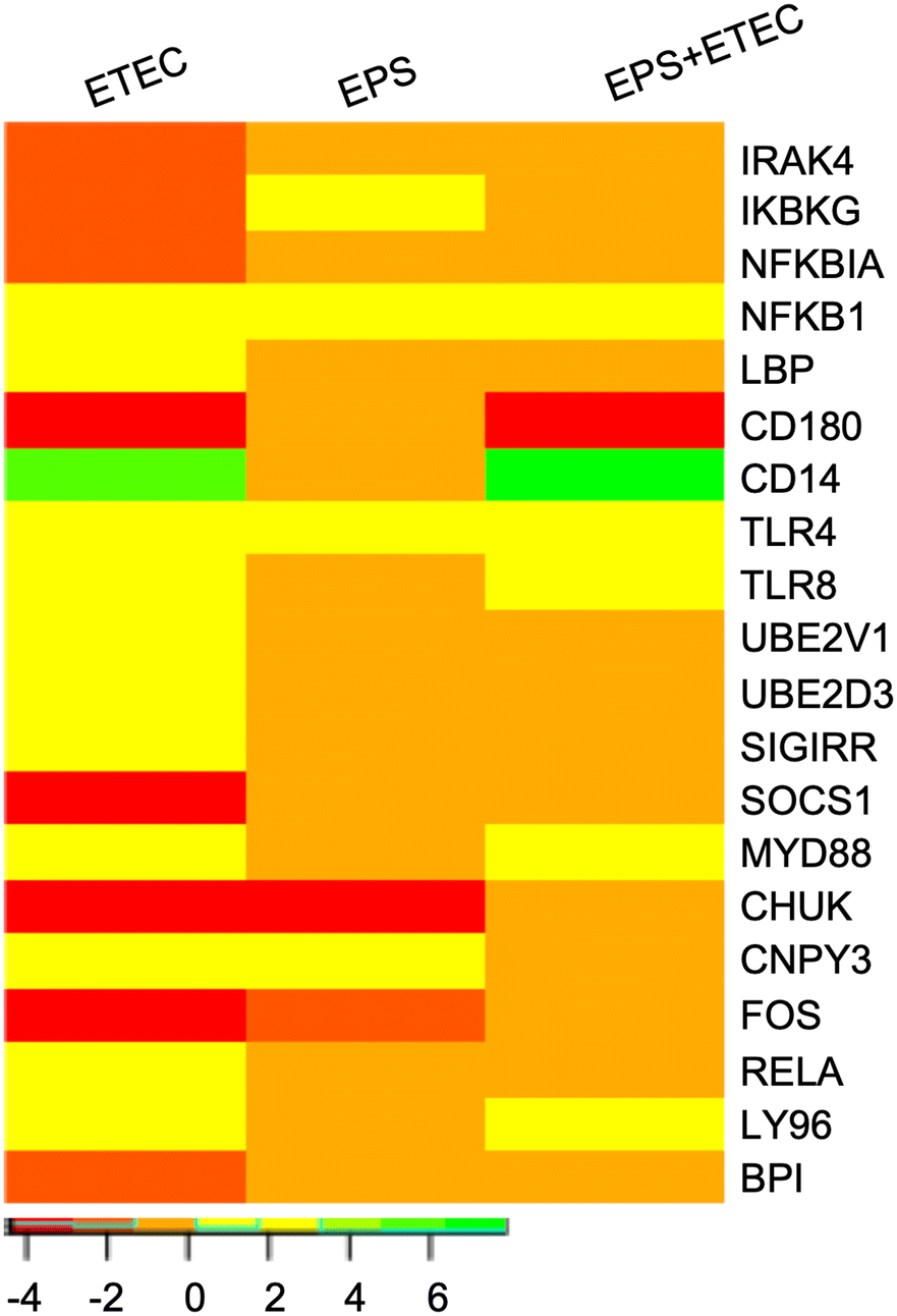 Figure 7