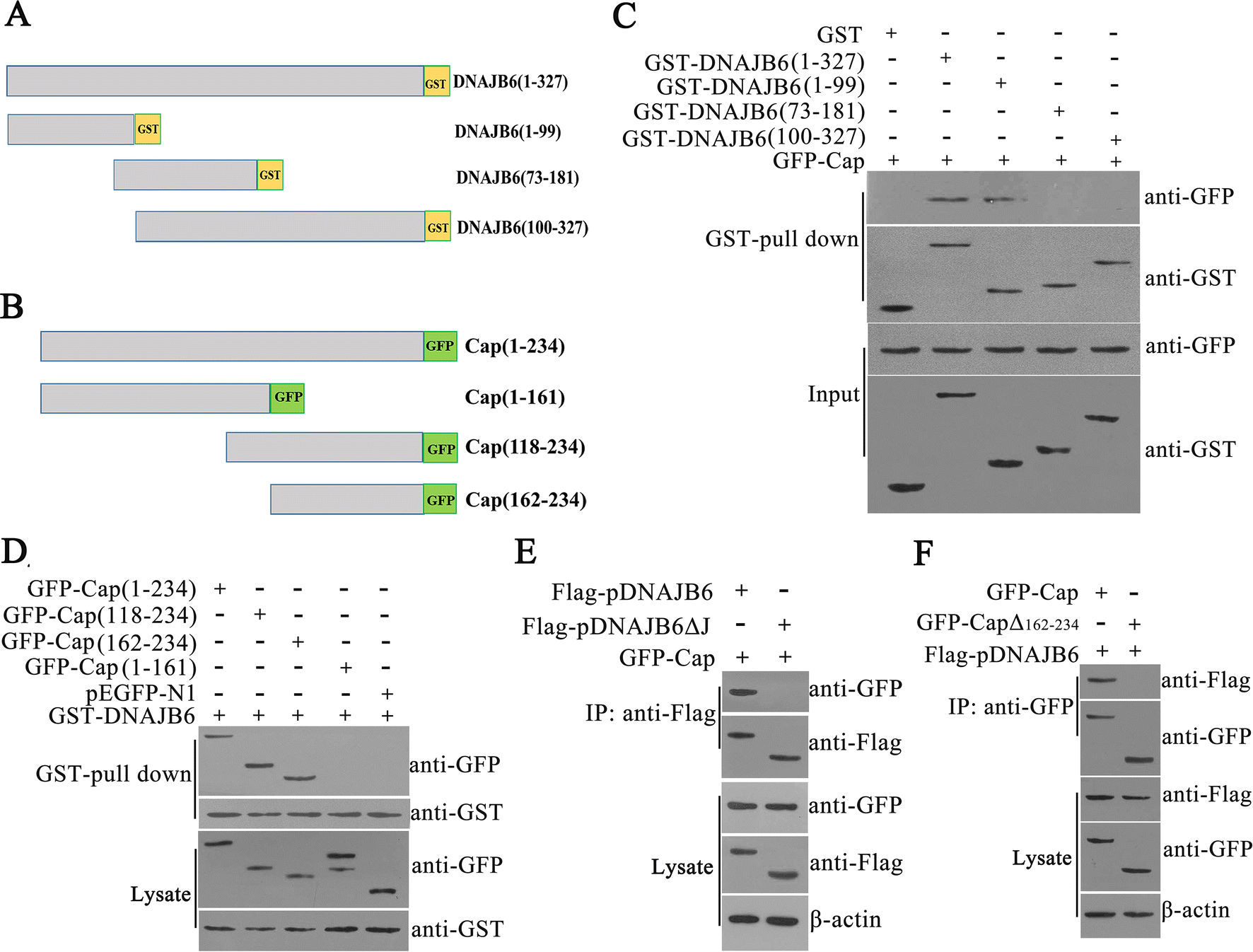 Figure 5