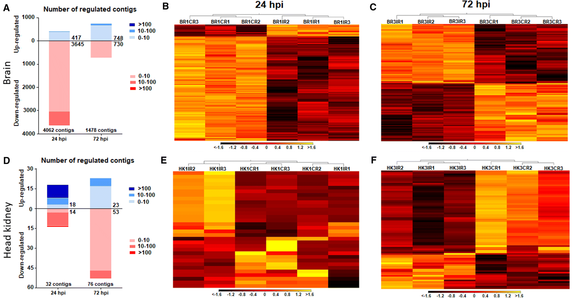 Figure 2