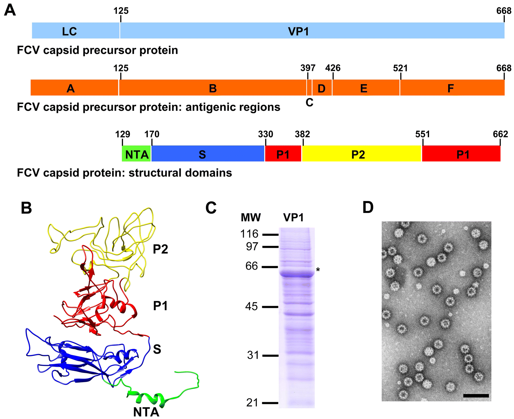 Figure 1